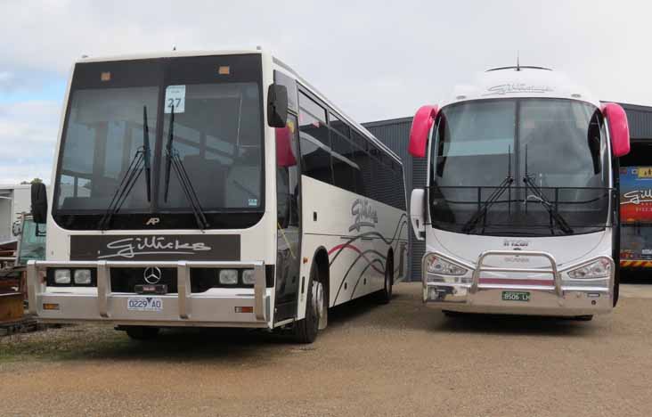 Gillicks Mercedes OH1421 Austral Pacific Starliner 21 & Scania K310IB Irizar i6 27